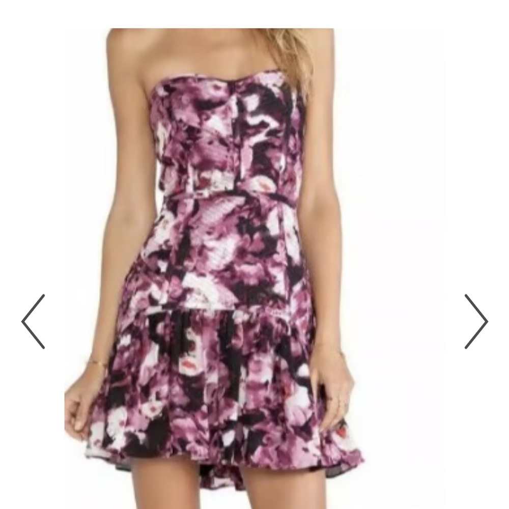 Parker Britney Rosewood Floral Dress